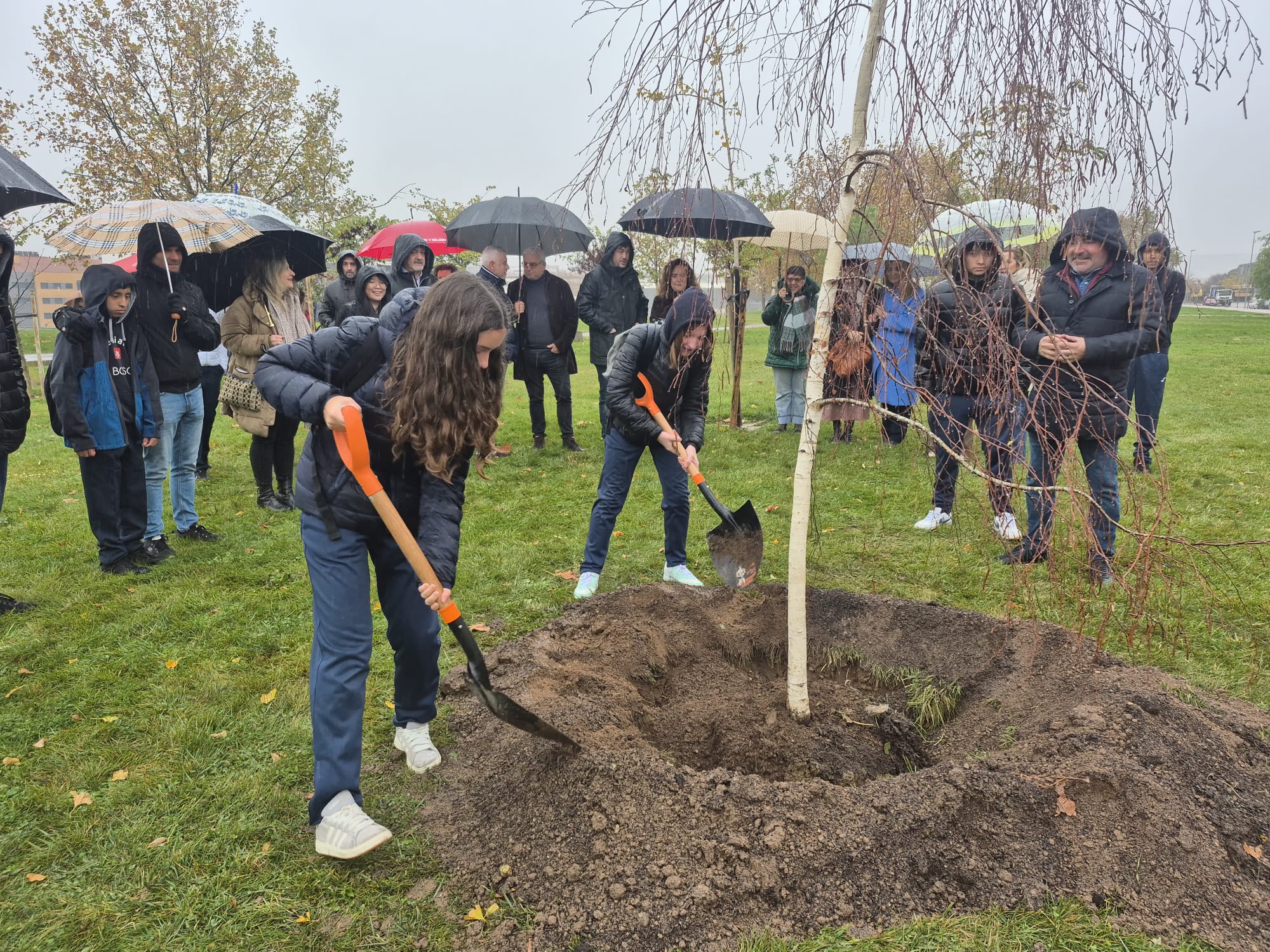Imagen de la plantación del Bosque Vivo